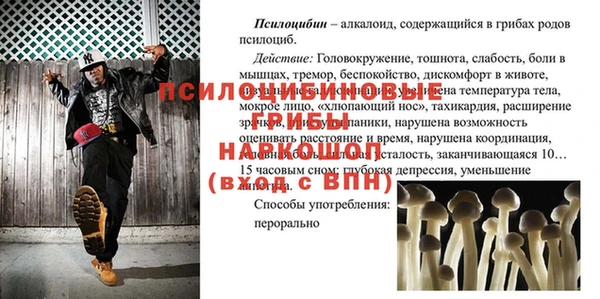 дживик Абаза