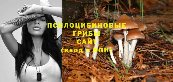 2c-b Абинск