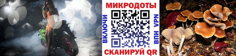 наркошоп  Нижневартовск  Псилоцибиновые грибы Magic Shrooms 
